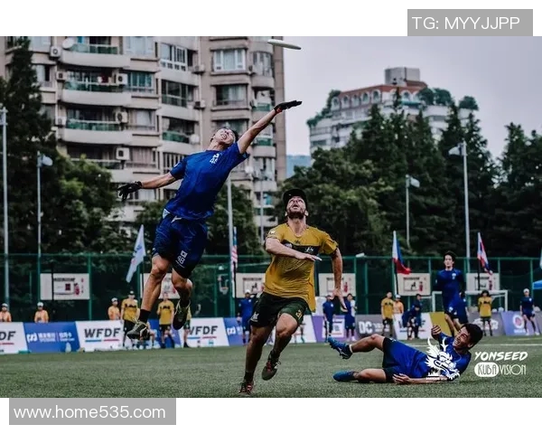 南京飞盘队团队协作的深度探讨与实践经验分享