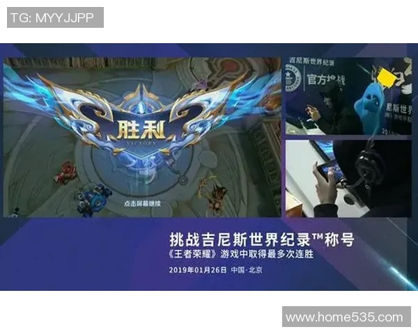 深度对话：探索杨敏在王者荣耀中的成长与挑战之路