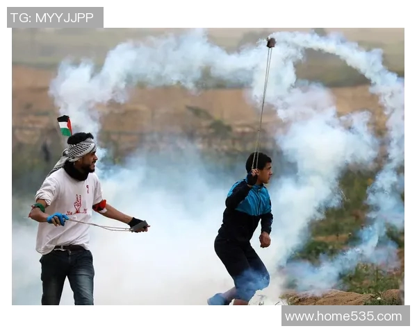 智利大学与巴勒斯坦人之间的文化交流与冲突探讨