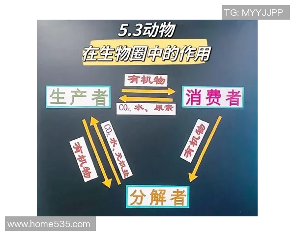 鸟栖沙岩与清水的对比分析探讨生态环境与生物多样性的关系