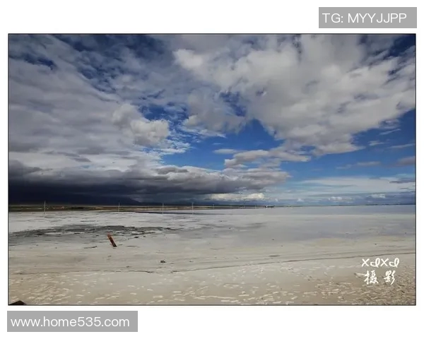 2019年皇家盐湖队与西雅图海湾者队的精彩对决回顾与分析